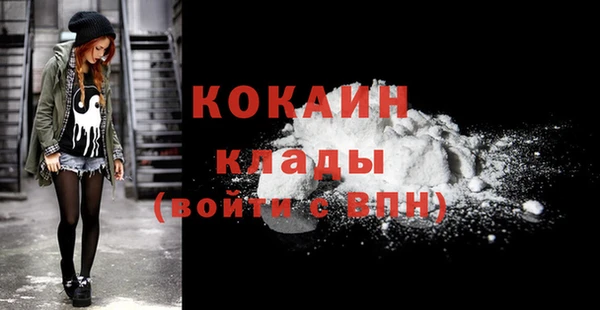 ECSTASY Бородино
