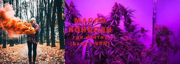 ECSTASY Бородино