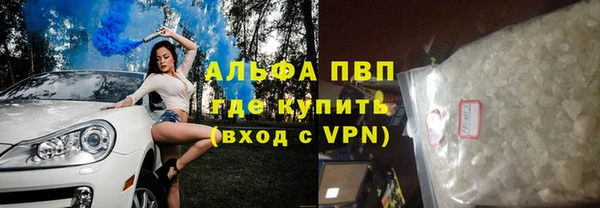 ECSTASY Бородино