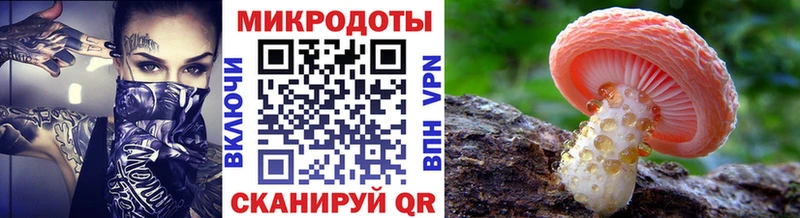 ссылка на мегу маркетплейс  Губаха  Псилоцибиновые грибы мицелий  купить наркотики сайты 